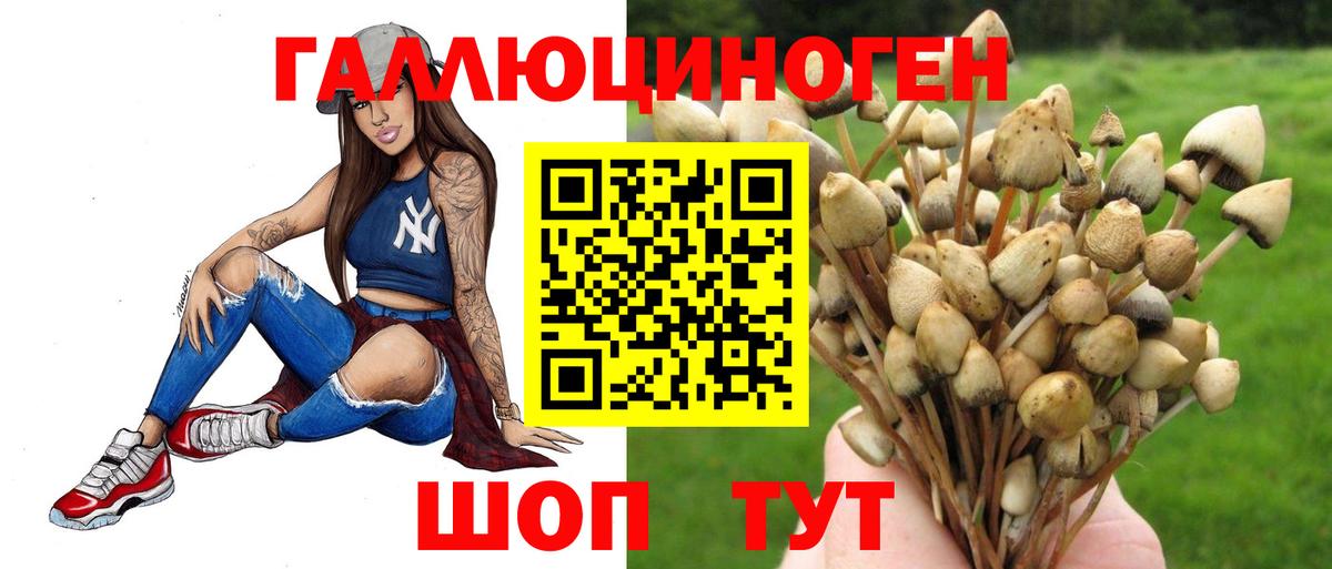 Псилоцибиновые грибы ЛСД Бахчисарай